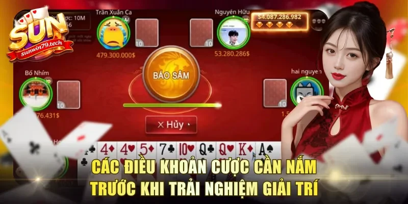 Các điều khoản cược cần nắm trước khi trải nghiệm giải trí