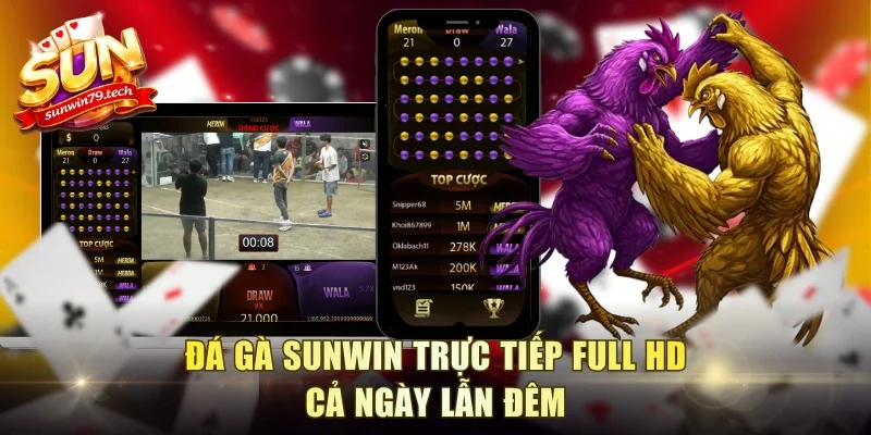 Đá gà Sunwin trực tiếp Full HD cả ngày lẫn đêm