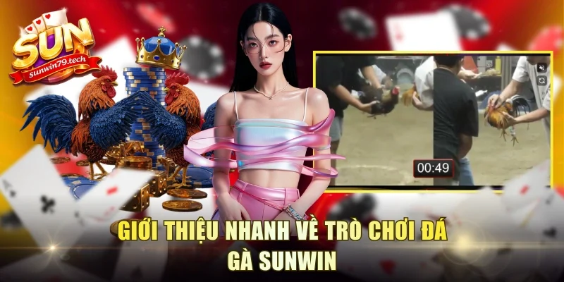 Giới thiệu nhanh về trò chơi đá gà Sunwin